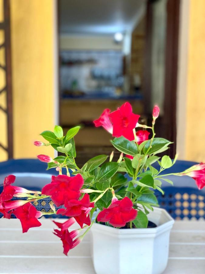 La Casa Dei Bouganville - Lo Stagnone Isole Egadi Marsala Zewnętrze zdjęcie